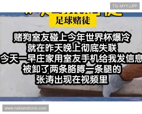 专家解读伊朗对新西兰网络赌球风险对世界杯赛事的潜在威胁与应对措施